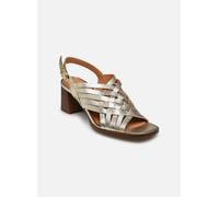 Georgia Rose - Calia Oro e bronzo - Sandali e scarpe aperte 36 Oro e bronzo