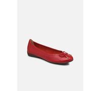 Georgia Rose Soft - Wolf Rosso - Ballerine 40 Rosso