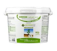 GEOSISM & NATURE - Geomicor Radicant Solid, Inoculo granulare di funghi micorrizici e batteri della rizosfera per ortaggi, piante e fiori (1 KG)