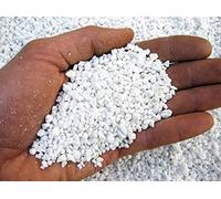 Geosism & Nature - Perlite per Piante in Vaso, Ideale per Bonsai, Cactus, Giardino, Orchidee, Orto, Piante Carnivore (1 kg, 2/6 mm)