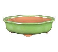 Geosism & Nature Vaso per bonsai ovale (forma mokko) in gres smaltato verde 27x20,5x6 cm - GA11