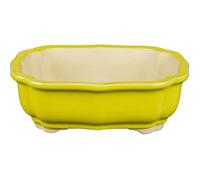 Geosism & Nature Vaso per bonsai ovale in gres smaltato giallo 14x9,5x4,5 cm - A3