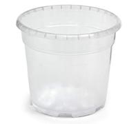 Geosism & Nature Vaso trasparente per orchidee 15x13,5 cm (n.1 pezzo), ditta Arca