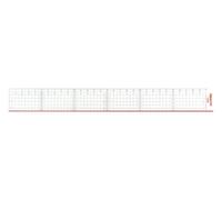 GEOtec - Righello in Plexiglas®, 30 cm, trasparente