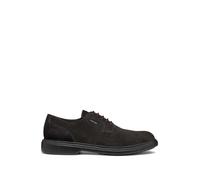 Geox Allacciato Uomo Colore Caffe 40