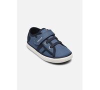 Geox - B Gisli Boy A Blu - Sneakers 21 Blu