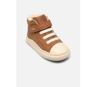 Geox - B GISLI BOY Marrone - Sneakers 24 Marrone