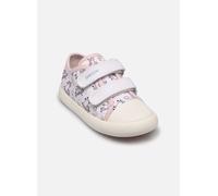 Geox Sneaker Bisli B
