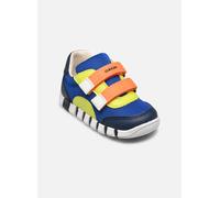 GEOX Scarpe Iupidoo Neonato Royal Blu/arancione Royal Blu/arancione 25