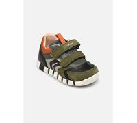 Geox - B IUPIDOO BOY Verde - Sneakers 21 Verde