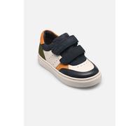 Geox - B NASHIK BOY C Multicolore - Sneakers 22 Multicolore