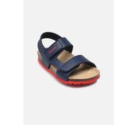 Geox B Sandal CHALKI Boy, Bimbo 0-24, Navy/Red, 21 EU