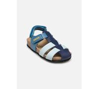 Geox B Sandal Chalki Boy, Bimbo 0-24, Blu Marino, 20 EU