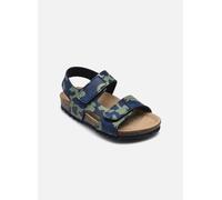 Geox B Sandal CHALKI Boy, Bimbo 0-24, Navy/Dk Azure, 24 EU