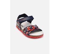 Geox Chalki Sandals EU 21