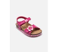 Geox B Sandal CHALKI Girl, Bimba 0-24, Dk Pink, 20 EU