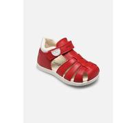 Geox - B SANDAL MACCHIA BOY Rosso - Sandali e scarpe aperte 20 Rosso