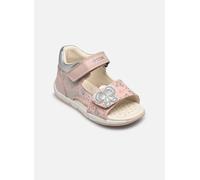 Geox - B SANDALE TAPUZ FILL Rosa - Sandali e scarpe aperte 22 Rosa