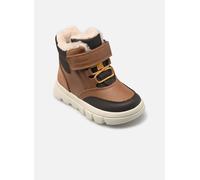 Geox - B WILLABOOM BOY B AB Marrone - Stivaletti e tronchetti 22 Marrone