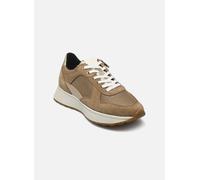 D AMABEL B by Geox 36 Beige