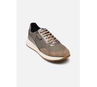 D BULMYA B by Geox 41 Beige