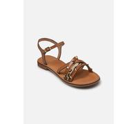 Geox - D MADDALUSIAC Marrone - Sandali e scarpe aperte 41 Marrone