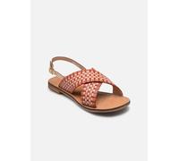 Geox Sandalo da donna D Maddalusiac N Flat Sandal, Rosa/Coral, 36 EU
