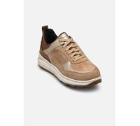 Geox - D SPHERICA 4X4 B ABX Beige - Sneakers 41 Beige