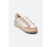 Geox Sneaker Spherica Ec4.1