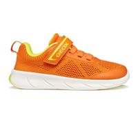 Geox Foot-Run Trainers EU 27