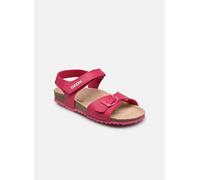 Geox Adriel Youth Sandals Rosa EU 29 Ragazza