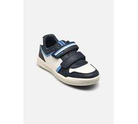 Geox - J Arzach Boy E Blu - Sneakers 31 Blu