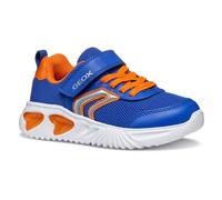 Geox Sneaker Assister