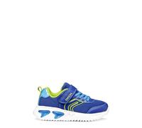 Geox J Assister Boy C Sneaker, Royal/Lime, 31 EU