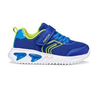 Geox J Assister Boy C Sneaker, Royal/Lime, 32 EU