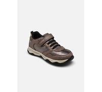 Geox - J CALCO GIRL Grigio - Sneakers 30 Grigio