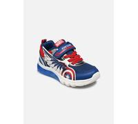 GEOX Ciberdron Bambino Blu/rosso Blu/rosso 33