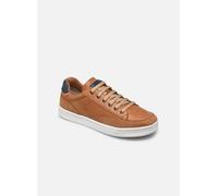 Geox - J Djrock Boy J255VB Marrone - Sneakers 33 Marrone