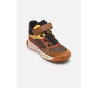 Geox - J FLEXYPER PRO BOY B Marrone - Stivaletti e tronchetti 31 Marrone