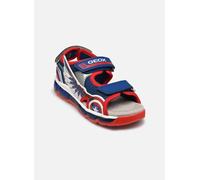 GEOX Sandal Android Junior Blu/rosso Blu/rosso 24