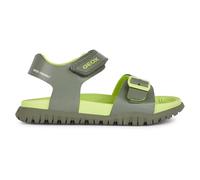 Geox J Sandal Fusbetto Bo, Uomo, Lime Militare, 37 EU