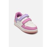 Geox Sneaker Washiba