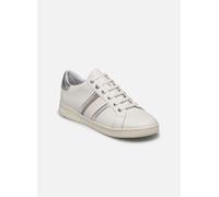 Geox Sneaker Jaysen