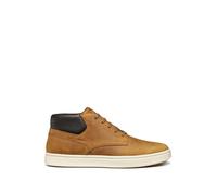 Geox Polacco Uomo Colore Ocra 40