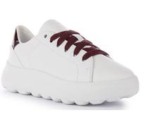 Geox D Spherica Ec4.1 B, Scarpe da Ginnastica, Bianco (White Dk Burgundy), 41 EU