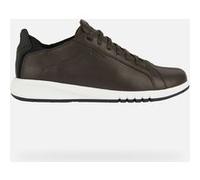 Geox Sneaker Aerantis