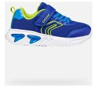 GEOX Scarpe Assister Bambino Royal Blu/lime Royal Blu/lime 26