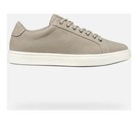 GEOX Scarpe Baltmoore Uomo Beige Beige 46