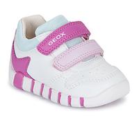 Geox Scarpe bambini B IUPIDOO GIRL in Bianco 24