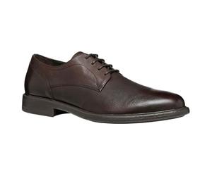 Geox Scarpe da Uomo U Terence E Oxford, Caff, 41 EU